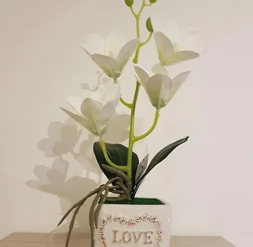 Minohouse Vatican View 로마